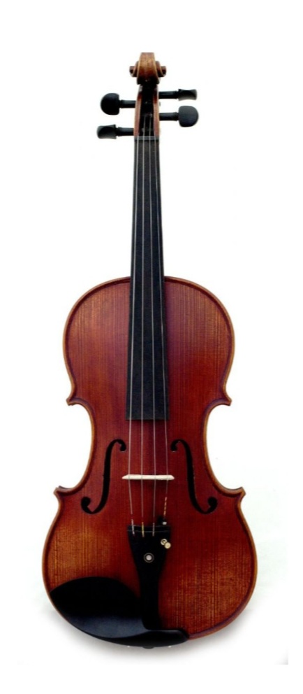 Suzuki violin 4/4 Full Size - Musical Bag